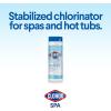 imageClorox PoolampampSpa Spa Water AllinOne Sanitizer ampamp Shock Destroys Contaminants Clears Cloudy Water 2LB Pack of 1