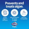imageClorox PoolampampSpa XTRABLUE Plus Swimming Pool Algaecide AllinOne Algae Killer NonFoaming 40 Ounce Pack of 1XtraBlue Algaecide