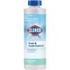 imageClorox PoolampampSpa Stain ampamp Scale Control Prevents Stains ampamp Scale in Spas Prevents Scale BuildUp 32 Ounces Pack of 1