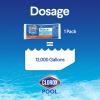 imageClorox PoolampampSpa Shock XTRABLUE Plus Kills Bacteria ampamp Algae in Swimming Pools SwimReady in 15 Minutes 12Pack12 Pack
