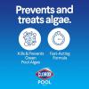imageClorox PoolampampSpa Swimming Pool Algaecide Prevents and Treats Pool Algae NonFoaming 1 Quart Pack of 11Quart