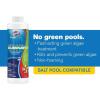 imageClorox PoolampampSpa Swimming Pool Algaecide Prevents and Treats Pool Algae NonFoaming 1 Quart Pack of 11Quart Pack of 2