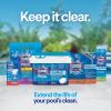 imageClorox PoolampampSpa XtraBlue 1 Swimming Pool Chlorinating Tablets Kills Bacteria ampamp Stops Algae Perfect for Small Pools 5 LB