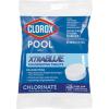 imageClorox PoolampampSpa XtraBlue 3 Swimming Pool Chlorinating Tablets 44 Individually Wrapped Tablets Kills Bacteria ampamp Stops Algae 165 LB