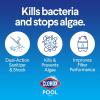 imageClorox PoolampampSpa XtraBlue Chlorinating Granules 40 lb