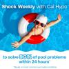 imageHTH 52037R Pool Care Shock Advanced Swimming Pool Chemical  Cal Hypo Formula Prevents Bacteria ampamp Algae Restores Crystal Clear Water  Shock Treatment 1lb 12 Pack1 Pack