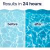 imageHTH 67067 Swimming Pool Care Clarifier Advanced  Crystal Clear Water in 24 Hours1 Count Pack of 1