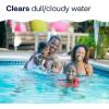 imageHTH 67080 Swimming Pool Care Drop Ou Flocculant  Clears Cloudy Water Fast 32 Fl Oz Pack of 132 Fl Oz Pack of 2