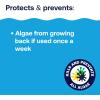 imageHTH 67084 Pool Care Algae Guard Advanced All Algae Eliminator for Swimming Pools  FastActing Destroys ampamp Prevents Green Black ampamp Mustard Algae Keeps Pool Water Crystal Clear 32 fl ozAdvanced Algaecide