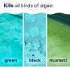 imageHTH 67084 Pool Care Algae Guard Advanced All Algae Eliminator for Swimming Pools  FastActing Destroys ampamp Prevents Green Black ampamp Mustard Algae Keeps Pool Water Crystal Clear 32 fl ozAdvanced Algaecide