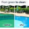 imageHTH 67084 Pool Care Algae Guard Advanced All Algae Eliminator for Swimming Pools  FastActing Destroys ampamp Prevents Green Black ampamp Mustard Algae Keeps Pool Water Crystal Clear 32 fl ozUltra Algaecide