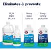 imageHTH 67084 Pool Care Algae Guard Advanced All Algae Eliminator for Swimming Pools  FastActing Destroys ampamp Prevents Green Black ampamp Mustard Algae Keeps Pool Water Crystal Clear 32 fl ozAdvanced Algaecide
