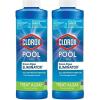 imageClorox PoolampampSpa Swimming Pool Algaecide Prevents and Treats Pool Algae NonFoaming 1 Quart Pack of 11Quart Pack of 2