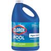 imageClorox PoolampampSpa Swimming Pool Algaecide and Clarifier Prevents and Treats Pool Algae Clears Water 128 Fl Oz Pack of 1128 Fl Oz Pack of 1