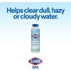 imageClorox PoolampampSpa Spa Water Clarifier For Crystal Clear Spa Water Clears Dull Hazy or Cloudy Water 16 Ounce Pack of 1