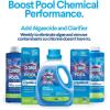 imageClorox PoolampampSpa 51132CLX Pool and Spa 3 in 1 Xtra Blue Clarifier 32 fl oz