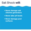 image:imageHTH 52047 Swimming Pool Care Salt Shock Stabilized Chlorinator 1 dose Treats 10000 gallons 5x12oz PacketsPack of 1